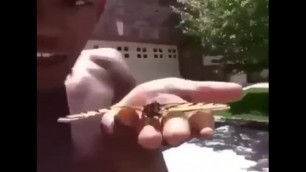 Big Black Nigga Eats Butterfly Pussy